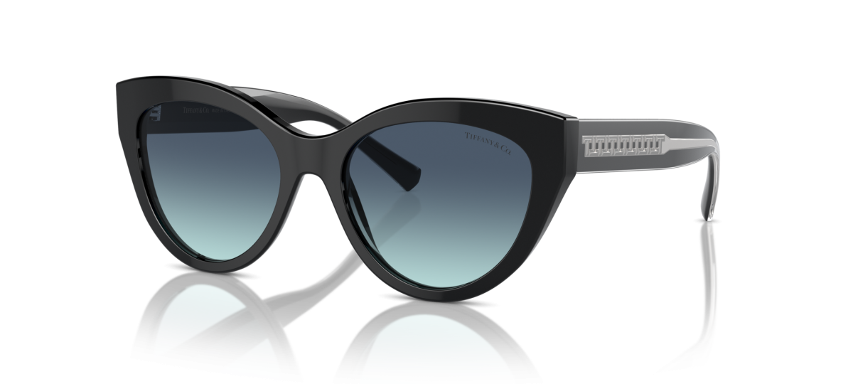 Tiffany TF4220  54 - 80019S