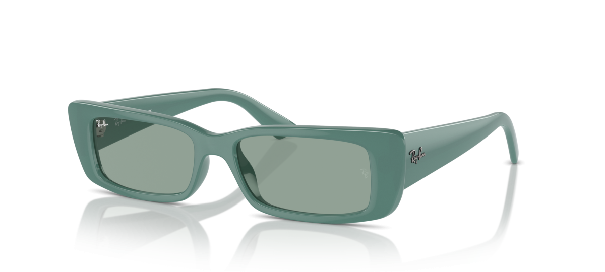 Ray-Ban RB4425  54 - 676282