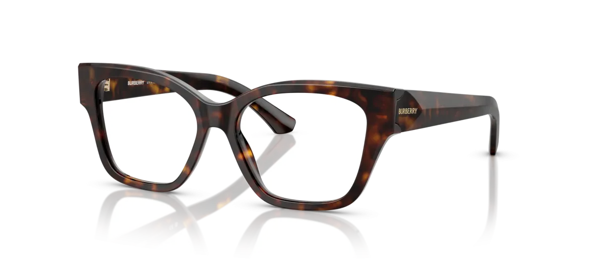 Burberry BE2420  54 - 3002
