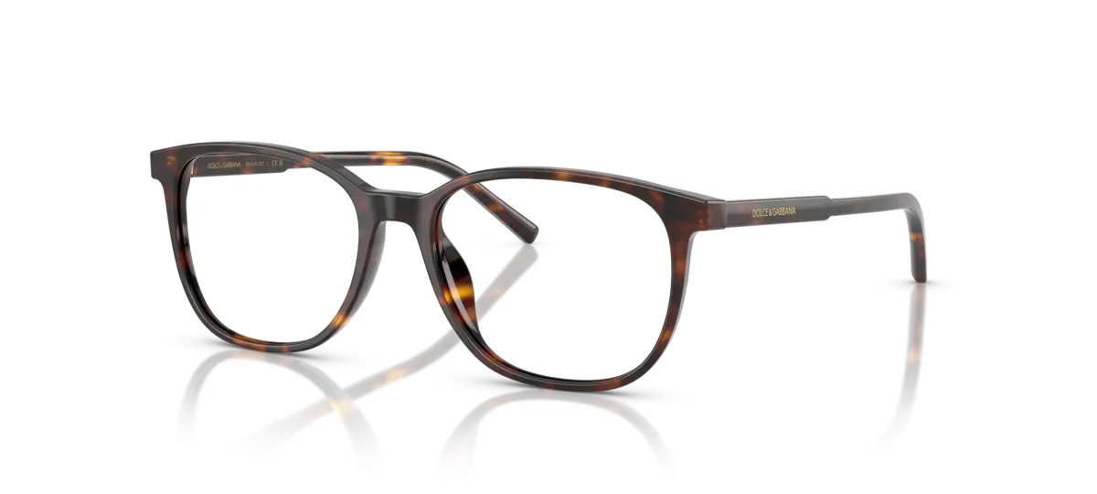 Dolce & Gabbana DG3426  53 - 502