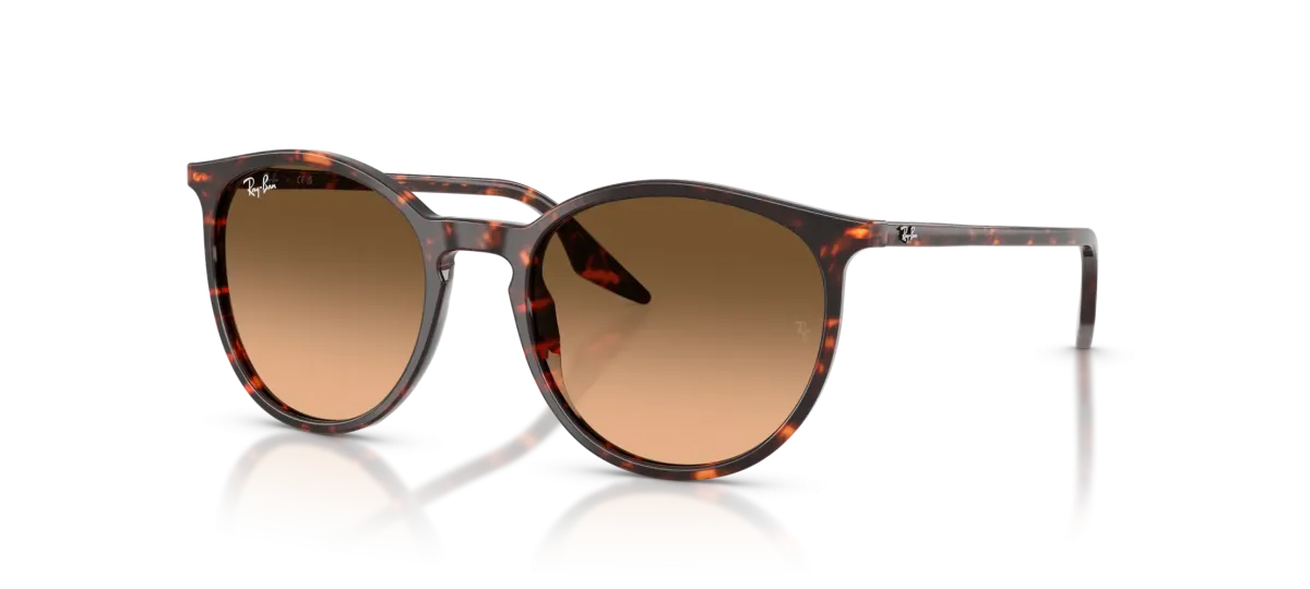 Ray-Ban RB2204  54 - 14293B