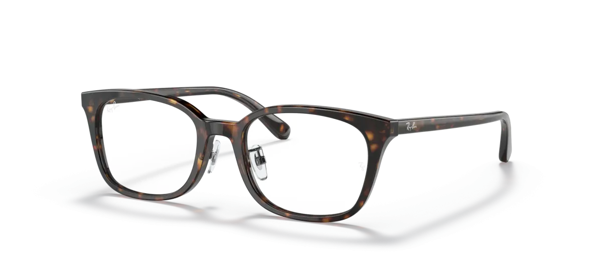Ray-Ban RX5407D  52 - 2012