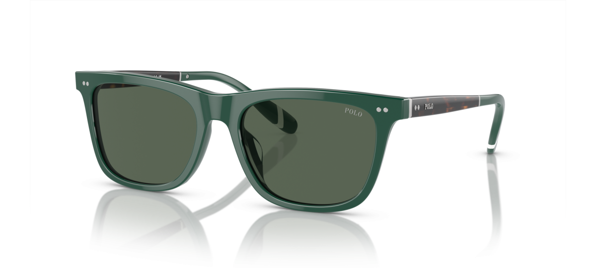 Polo PH4205U  56 - 614171