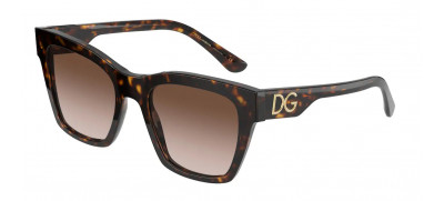 Dolce & Gabbana DG4384 53 - 502/13