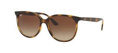 Ray-Ban RB4378L  54 - 710/13